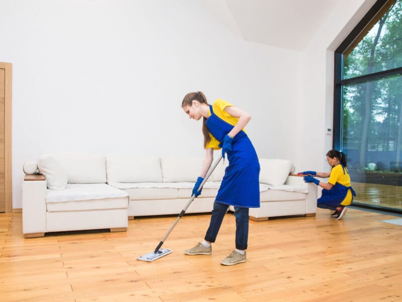 Regular Cleaning preview